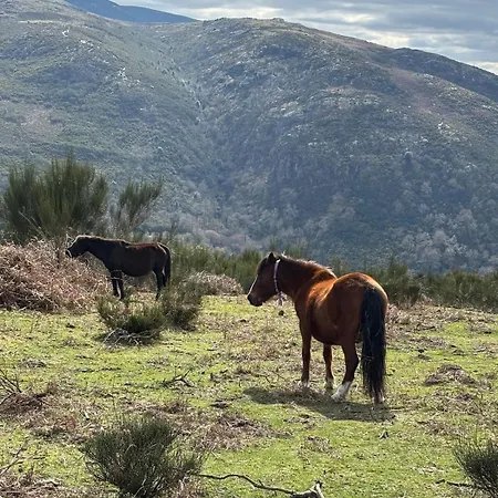 Casa Da Tapada Santo Antonio 度假居 Branda de Santo António