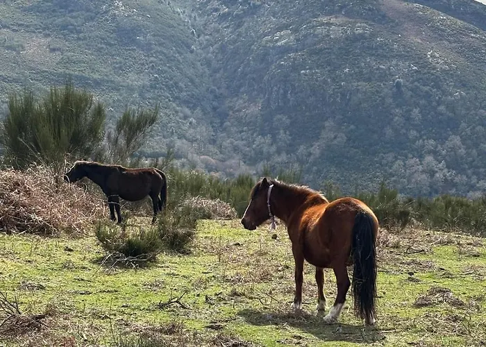 Casa Da Tapada Santo Antonio 別荘 Branda de Santo António